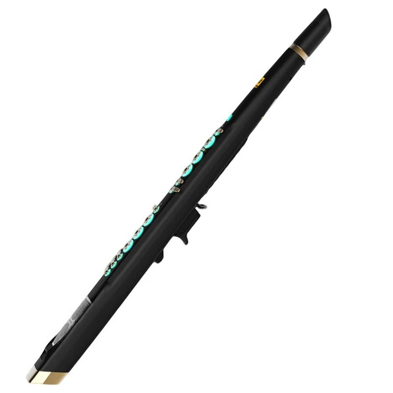 C20 true sampling domestic hig - Musical Instrument That You Blow Into recension och pris