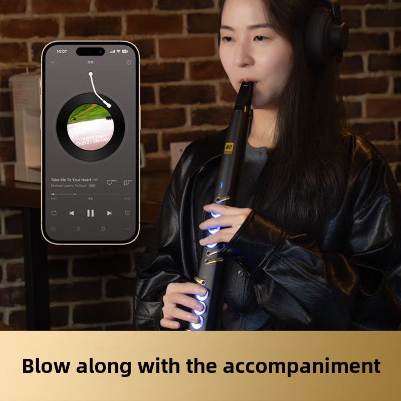 C20 true sampling domestic hig - Musical Instrument That You Blow Into recension och pris