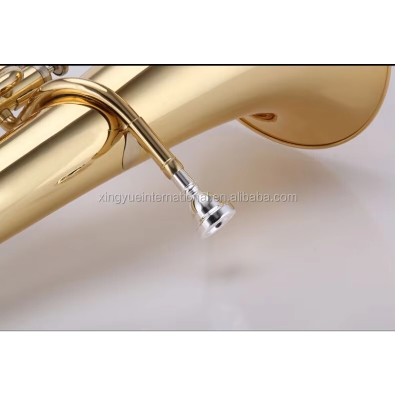 3-key Piston Valve Euphonium M - Musical Instrument Euphonium recension och pris