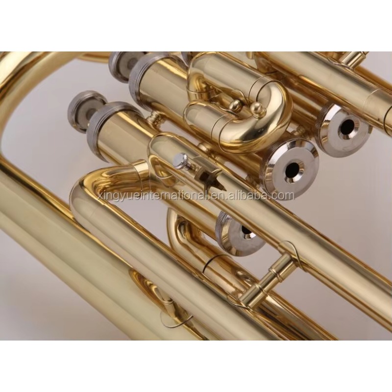 3-key Piston Valve Euphonium M - Musical Instrument Euphonium recension och pris