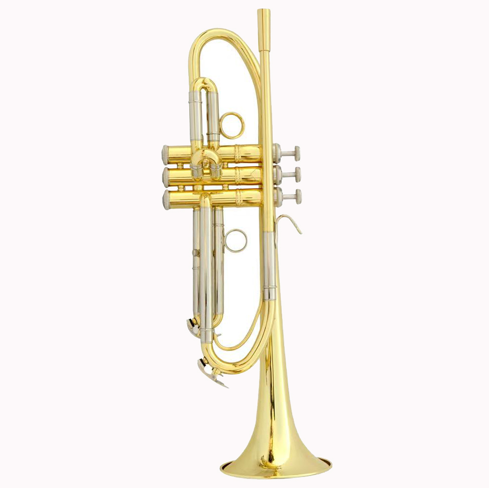 Trumpet Customized Design OEM  - Musical Instrument Logo recension och pris