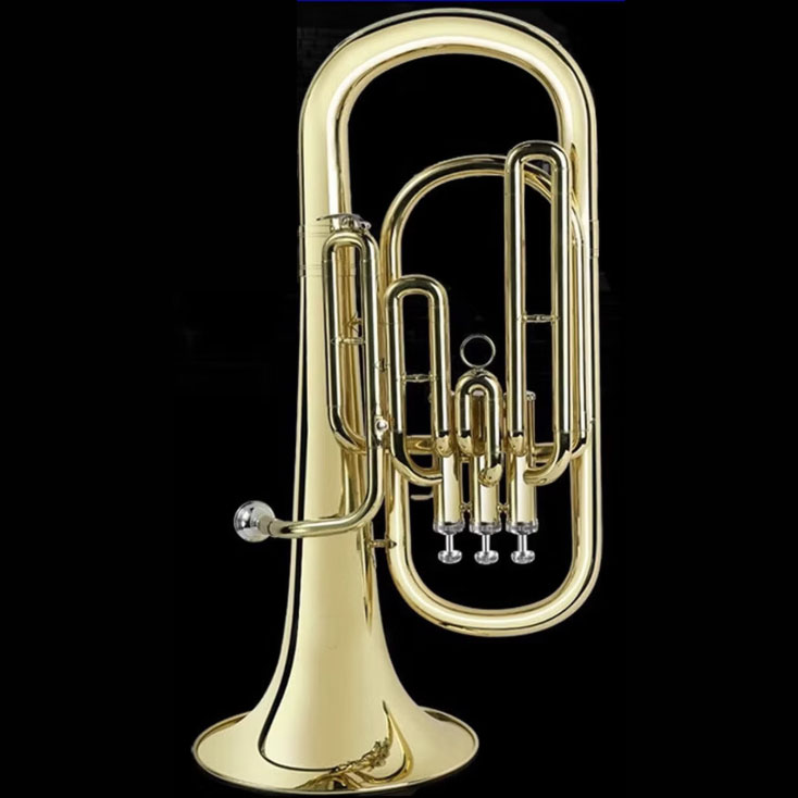 Bb Key Gold Lacquered Euphoniu - Musical Instrument Euphonium recension och pris