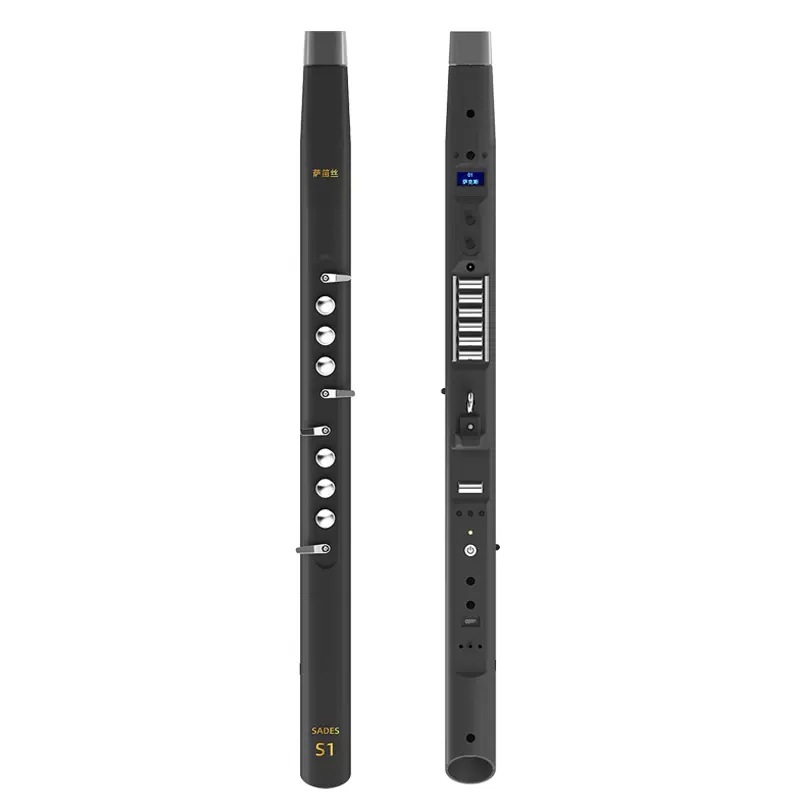 Electric Wind Instrument, Begi - Musical Instrument Music recension och pris